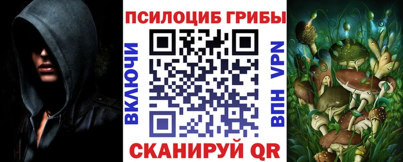 Галлюциногенные грибы Magic Shrooms  кракен вход  Алагир 